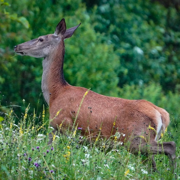 Nature photography
