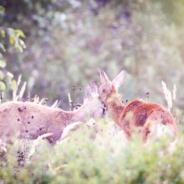 Nature photography