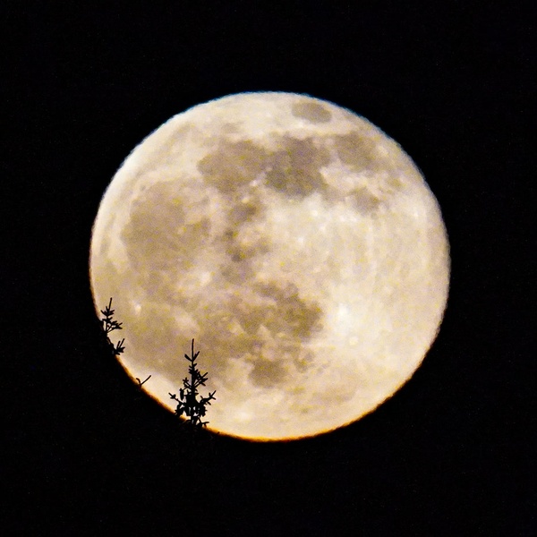 Nature photography
