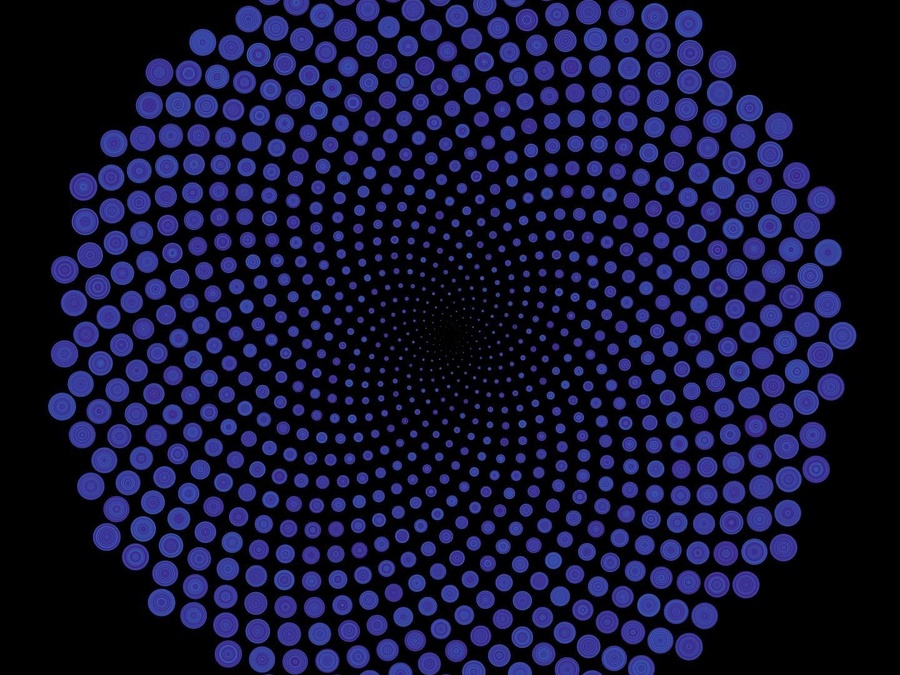 Deep Purple, 2024