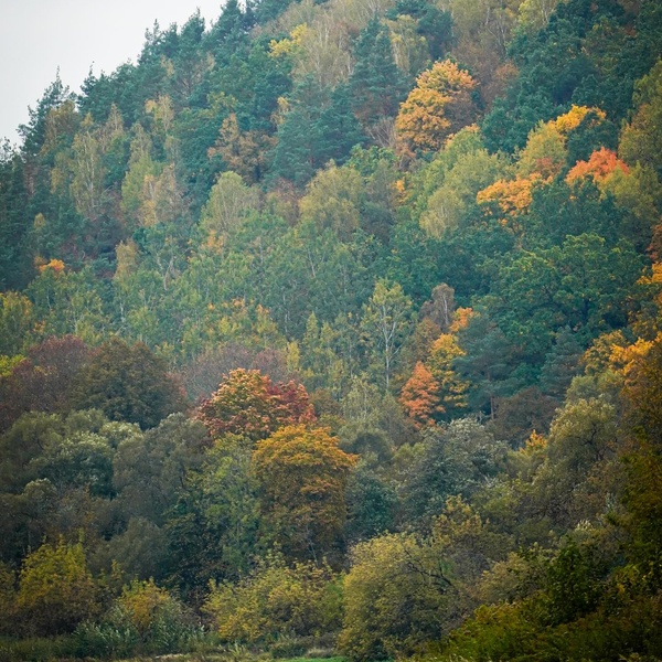 Nature photography