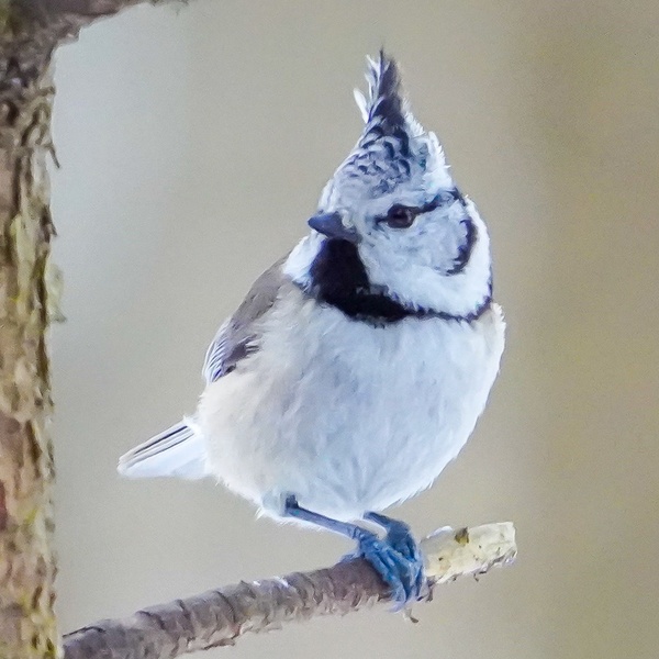 Nature photography